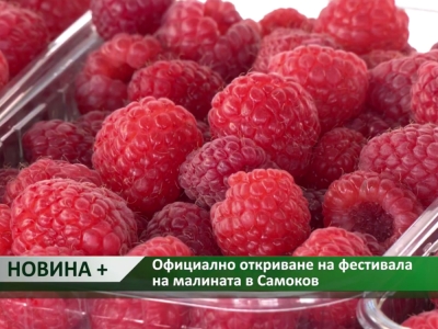 Официално откриване на фестивала на малината в Самоков